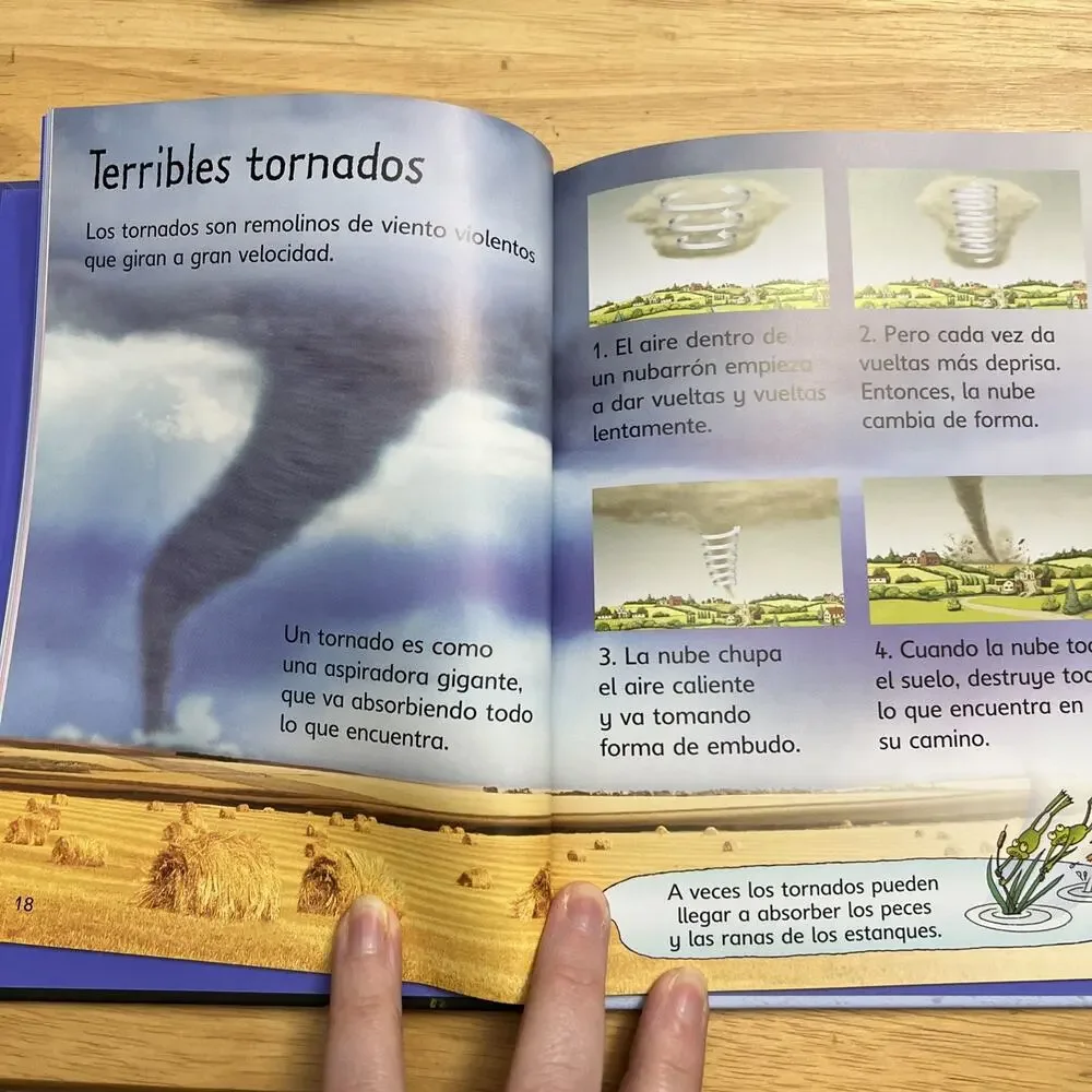 Usborne Leyendo Aprendo El Tiempo Book Weather Beginnners by Catriona Clarke